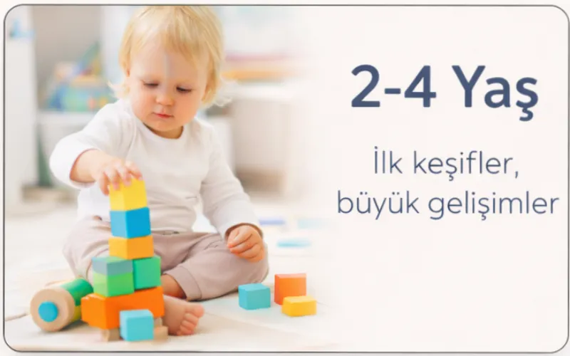 2-4 Yaş